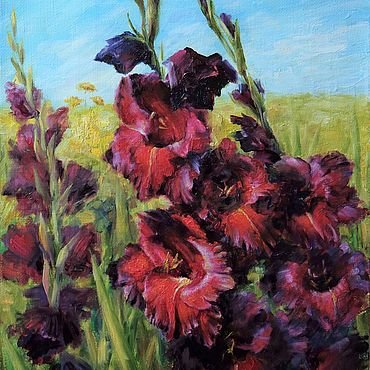 Гладиолусы - гладиолус, природа, цветы, поле - оригинал