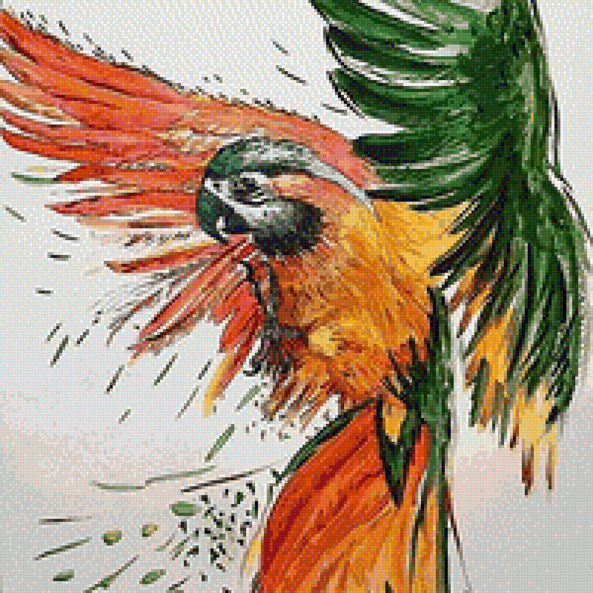 Попугай - попугайчики, картина, птицы - предпросмотр