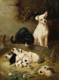 Щенки , котята, собака и кошка - кошка, котята, собака, щенки, домашние любимцы - оригинал