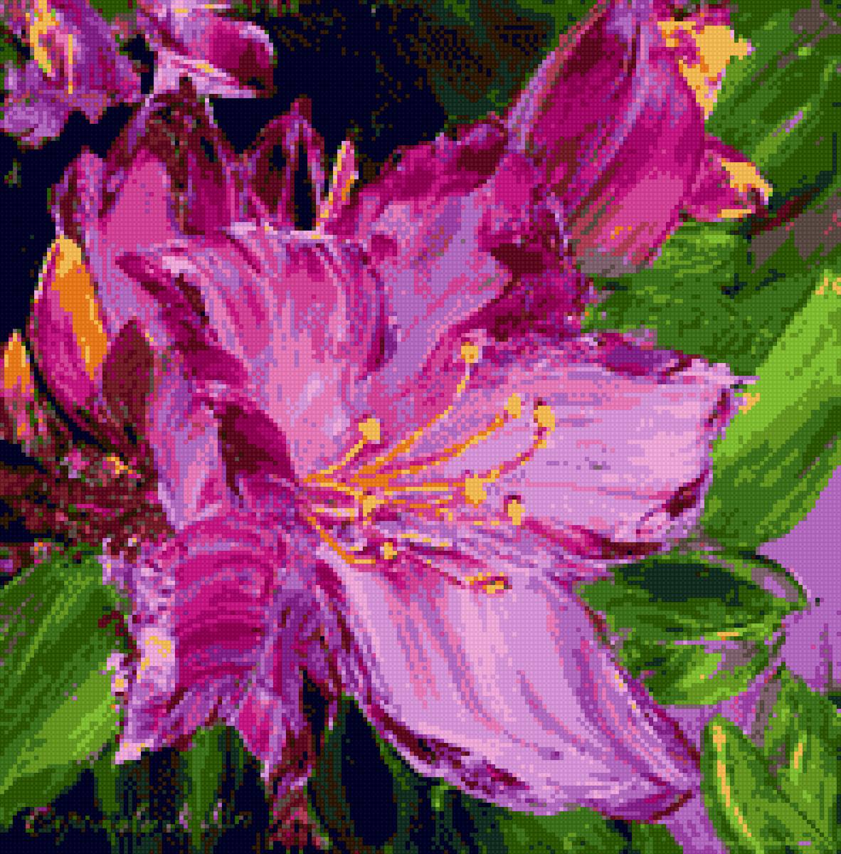 Багульник-11 - цветы, багульник - предпросмотр