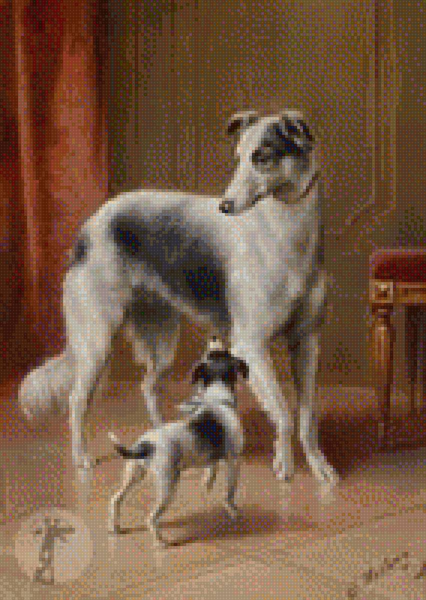 Русская псовая борзая - собака, русская псовая борзая, порода, домашние любимцы - предпросмотр