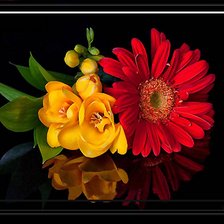 Схема вышивки «Отражение»