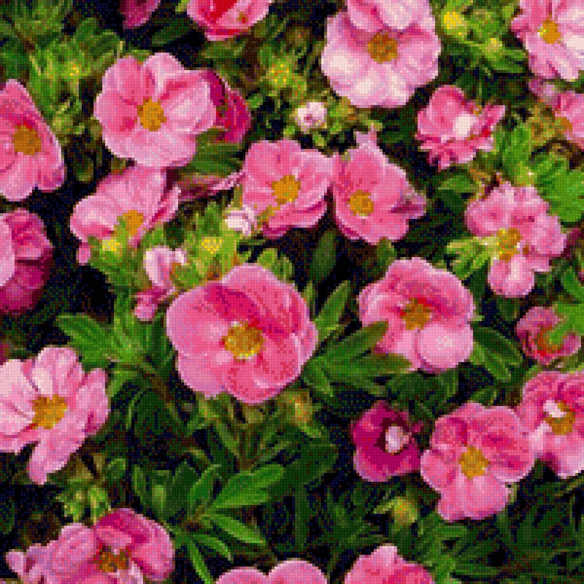 Цветы - растения, сад, цветы, куст, фото - предпросмотр