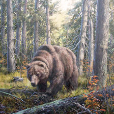 Схема вышивки «На медвежьей тропе»