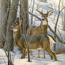 Схема вышивки «№2054138»