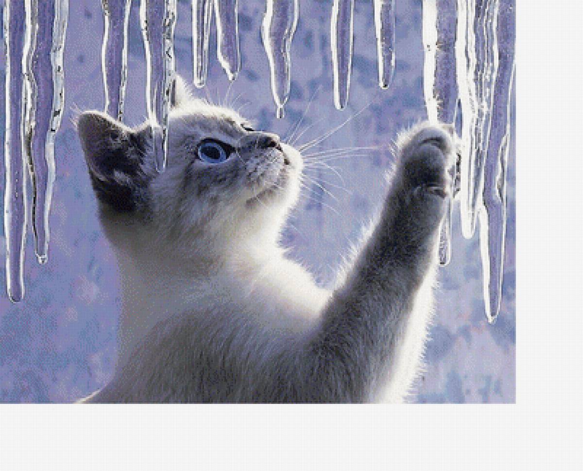 №2054174 - предпросмотр