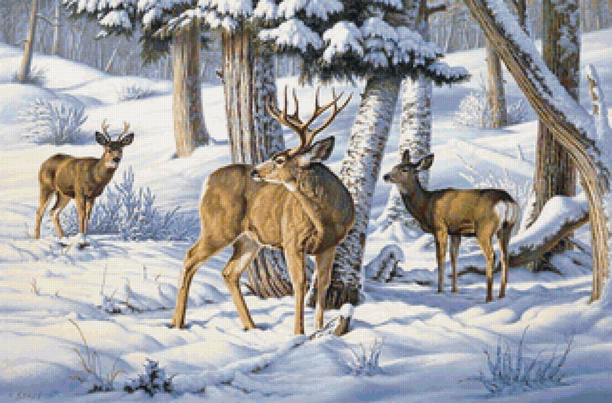 Зимним днем - олени, зима, лес - предпросмотр