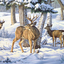 Схема вышивки «Зимним днем»