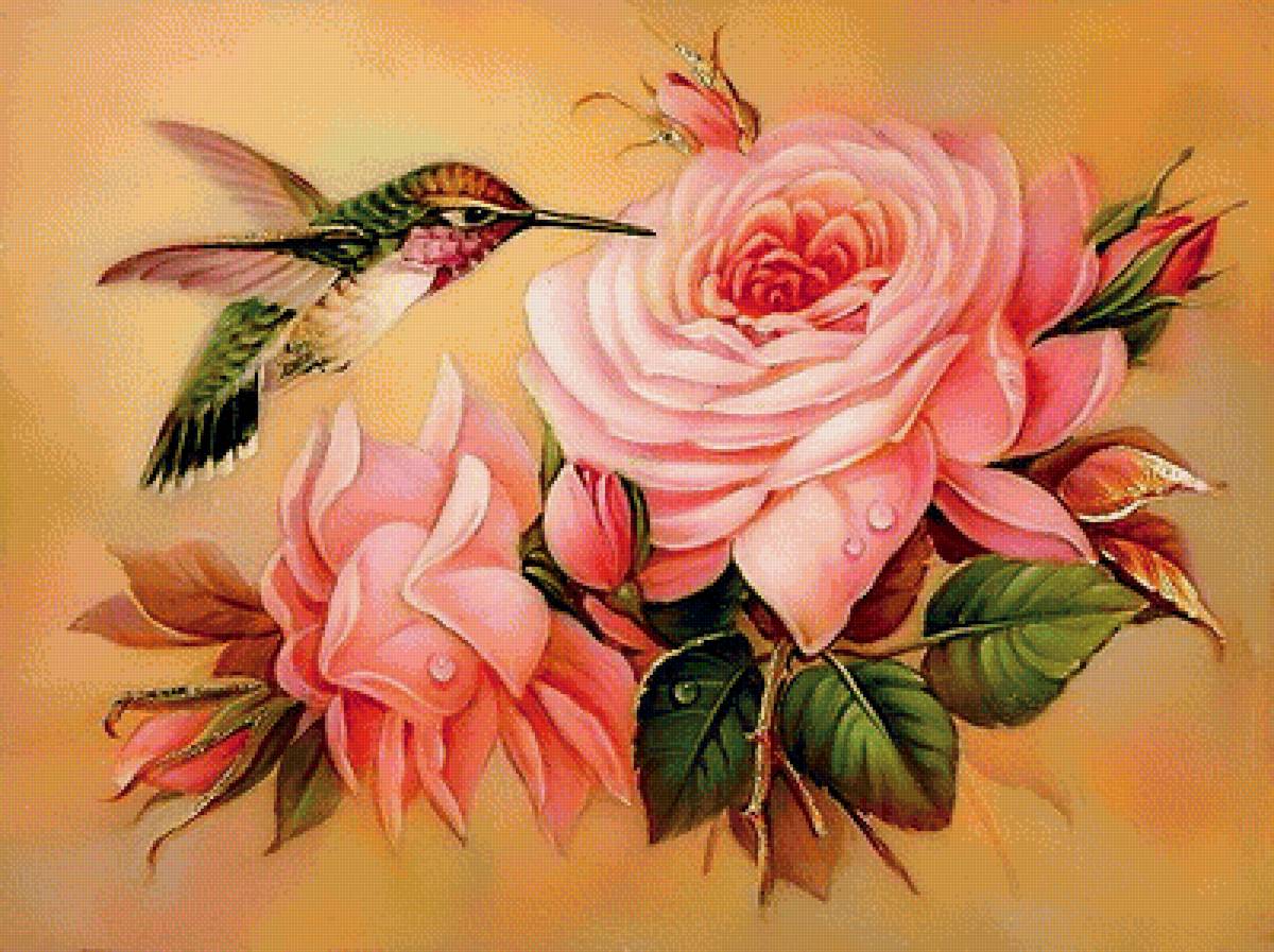 птички-невелички - розовые розы, розовые цветы, птицы, колибри, птичка, розы, птички - предпросмотр