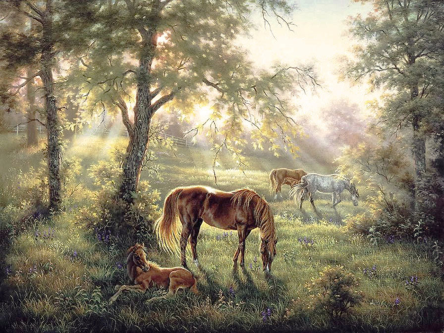 На вольном пастбище - кони, жеребенок, лето, лес, лошади - оригинал