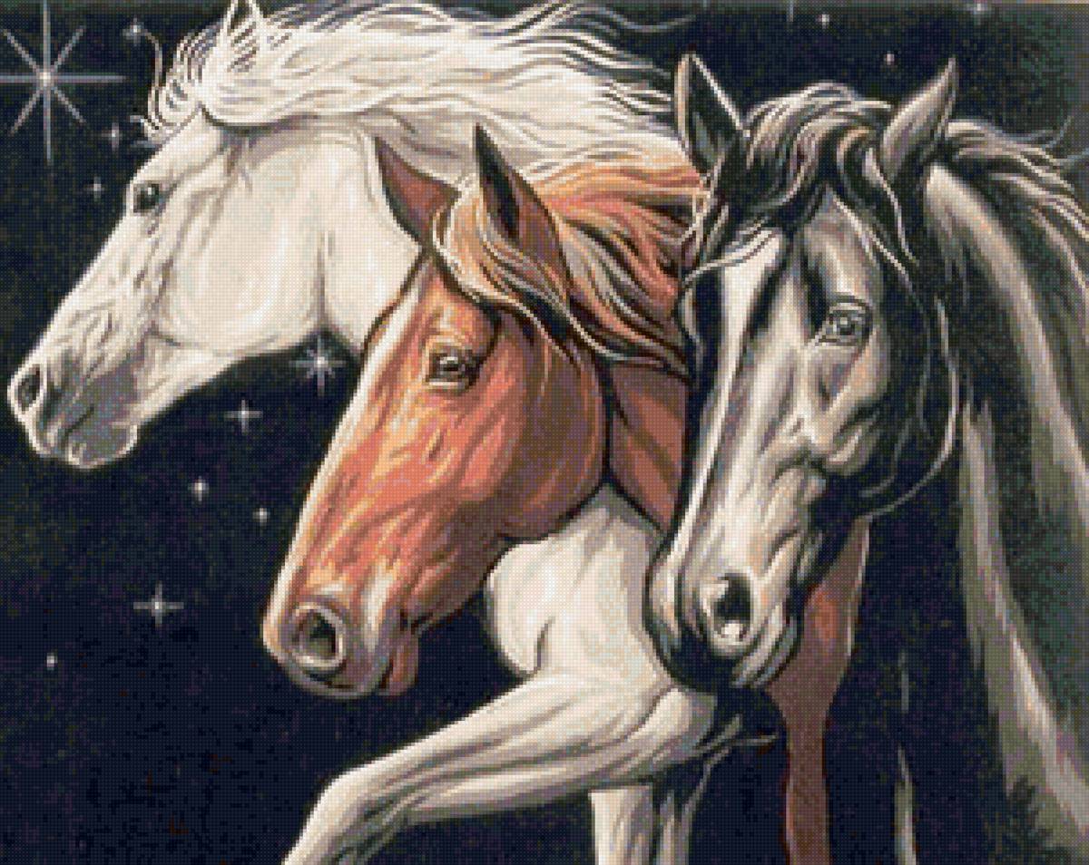 Созвездие Тройка - лошадь, черный фон, портрет, конь - предпросмотр
