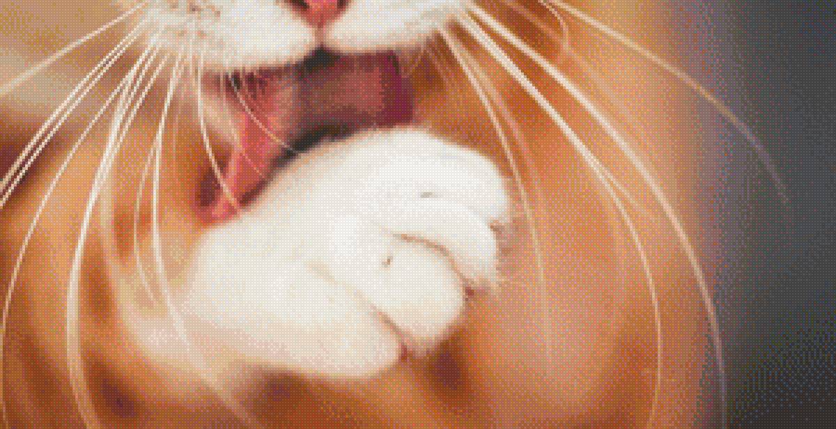 Чистюля - котята, животные, котик, кот - предпросмотр