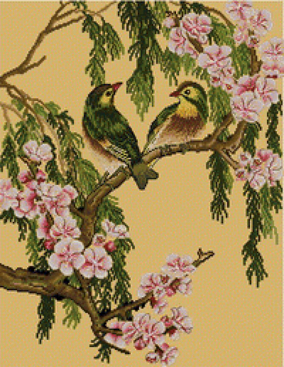 Птицы в цветущей вишне - вишнч, птицы - предпросмотр