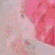Предпросмотр схемы вышивки «розы» (№2054834)