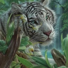 Схема вышивки «дикие»