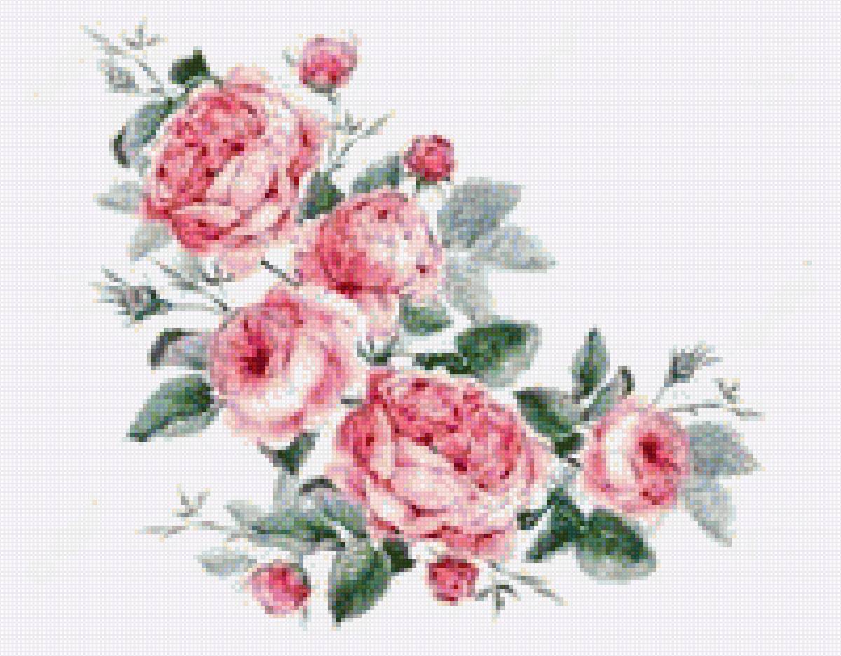 Цветочный мотив - узор, природа, цветок, мотив, фрагмент, растение - предпросмотр