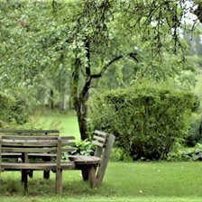 Схема вышивки «№2055295»