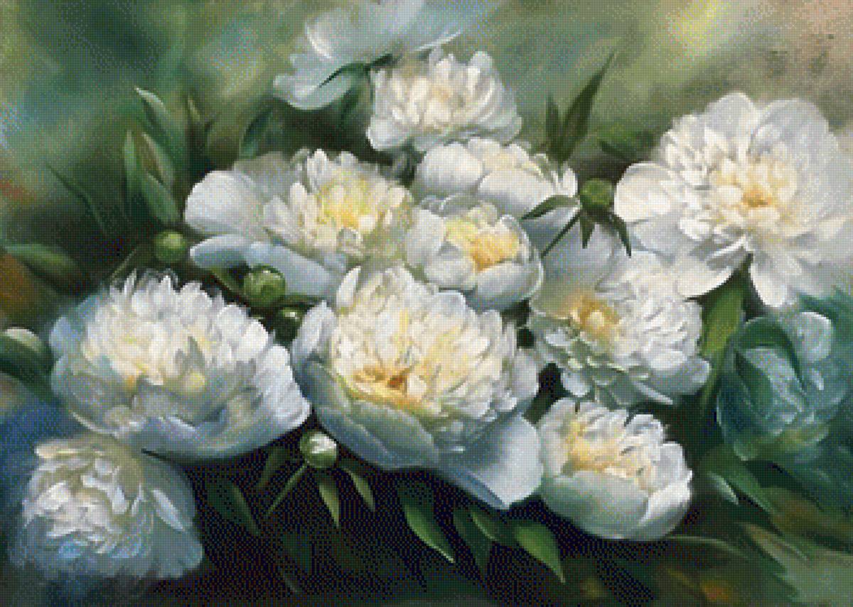 пионы - белые пионы - предпросмотр