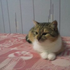 Схема вышивки «Фрося»