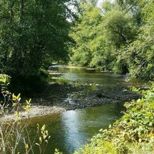 Схема вышивки «Лесная речушка»
