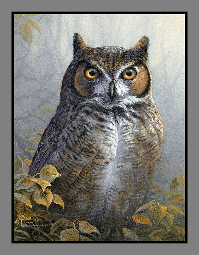 птицы - оригинал