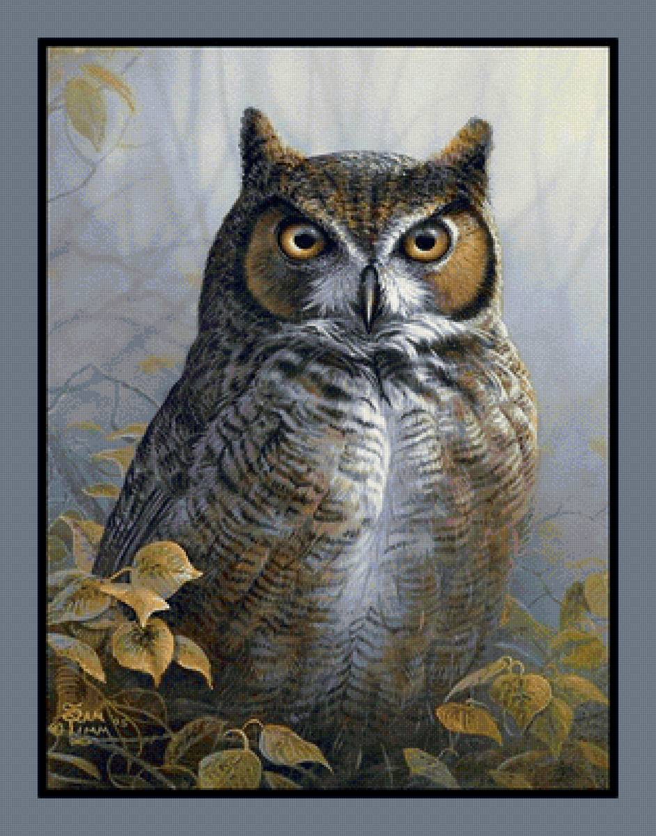 птицы - предпросмотр