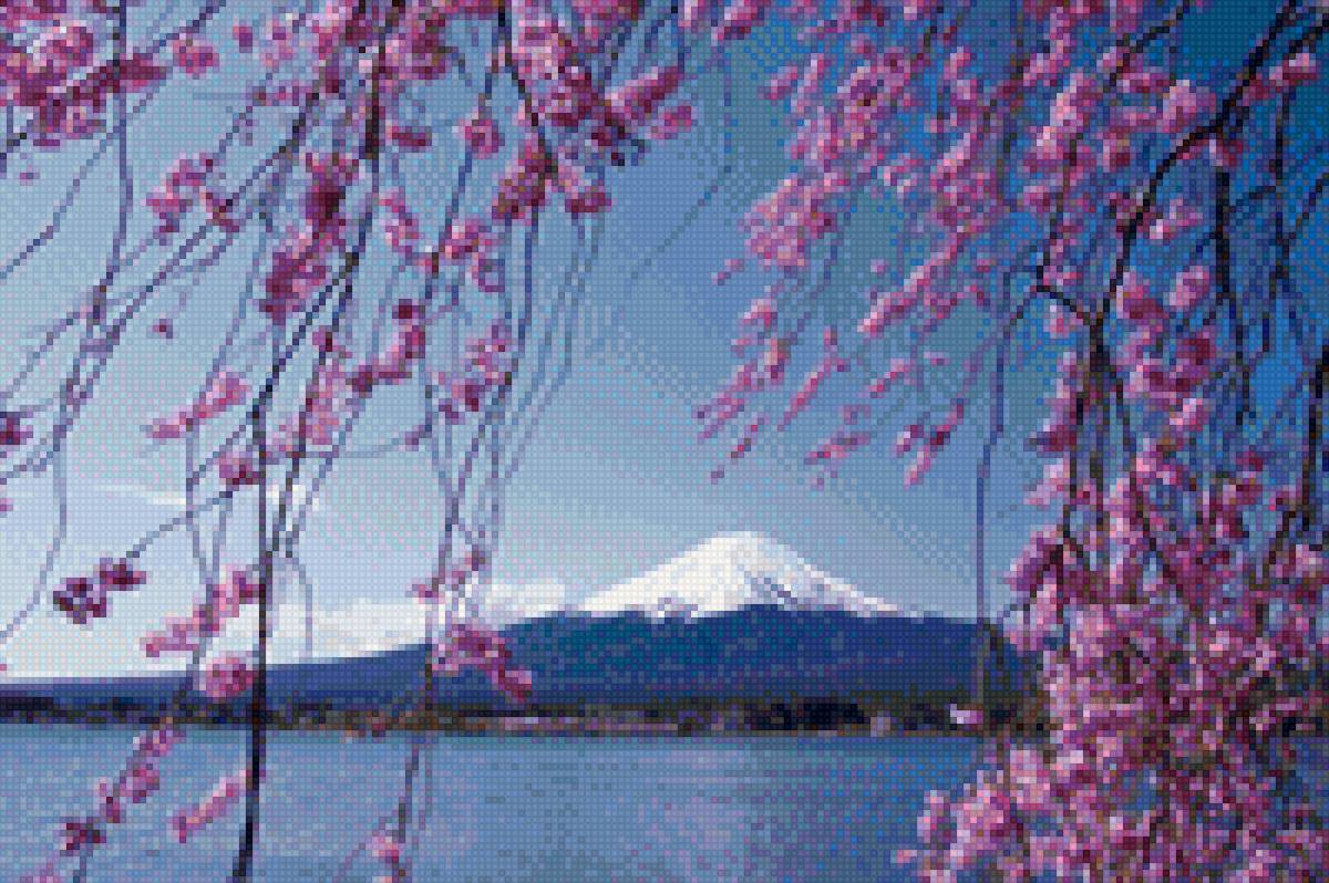 сакура1 - гамма - предпросмотр