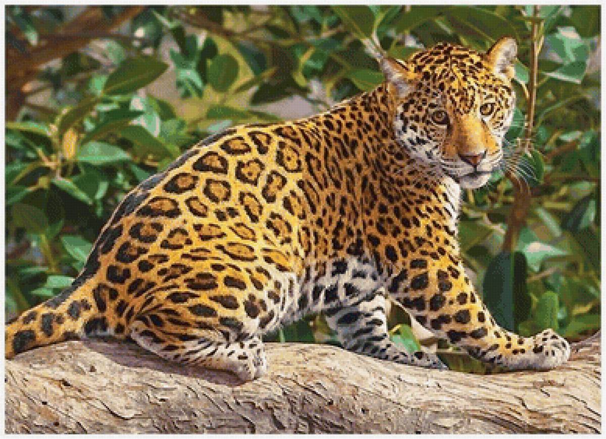 №2056220 - предпросмотр