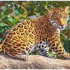 Схема вышивки «№2056220»