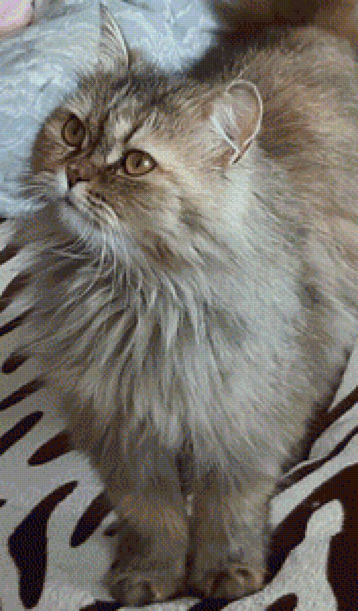 кошка Люся - кошка, кот - предпросмотр