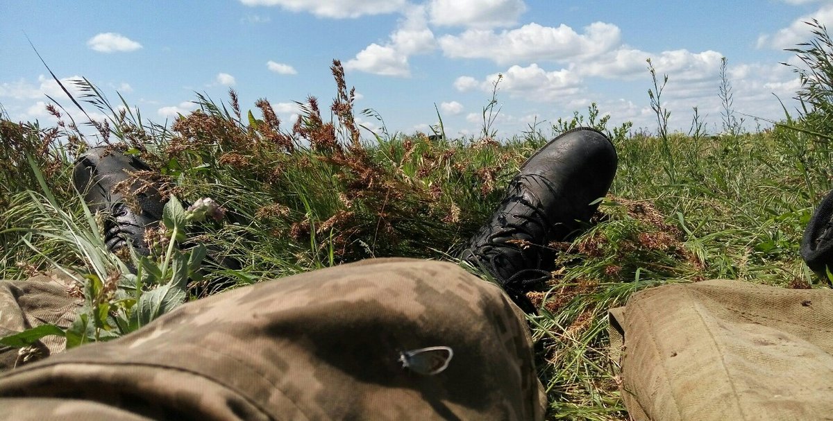 Military butterfly - оригинал