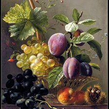 Схема вышивки «№2056435»