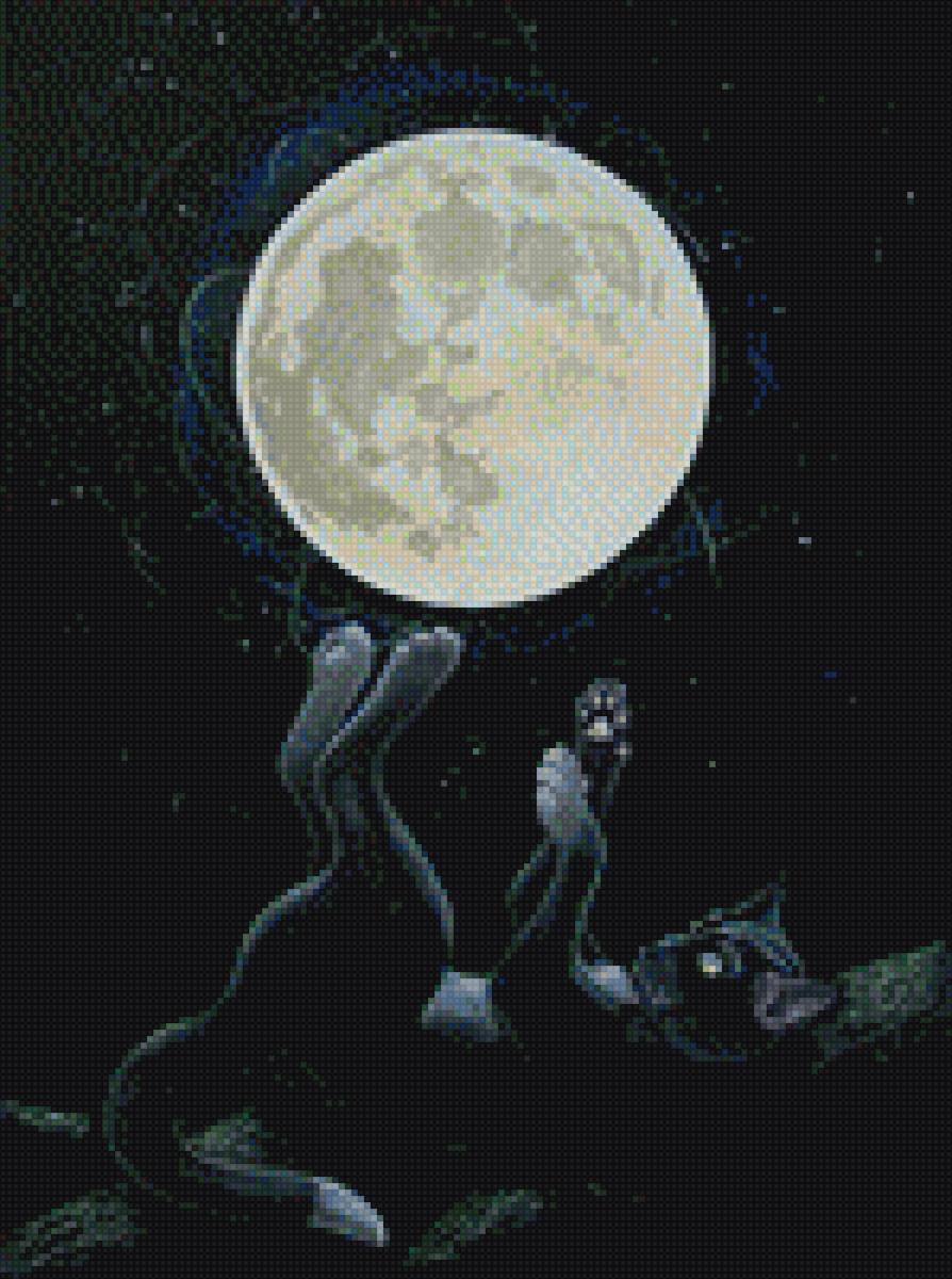 Лунный кот - предпросмотр