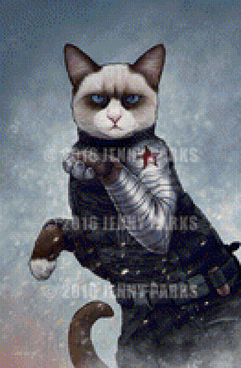 Коты-воины - образы, коты, воины, фэнтези, животные, картинки, костюмы - предпросмотр