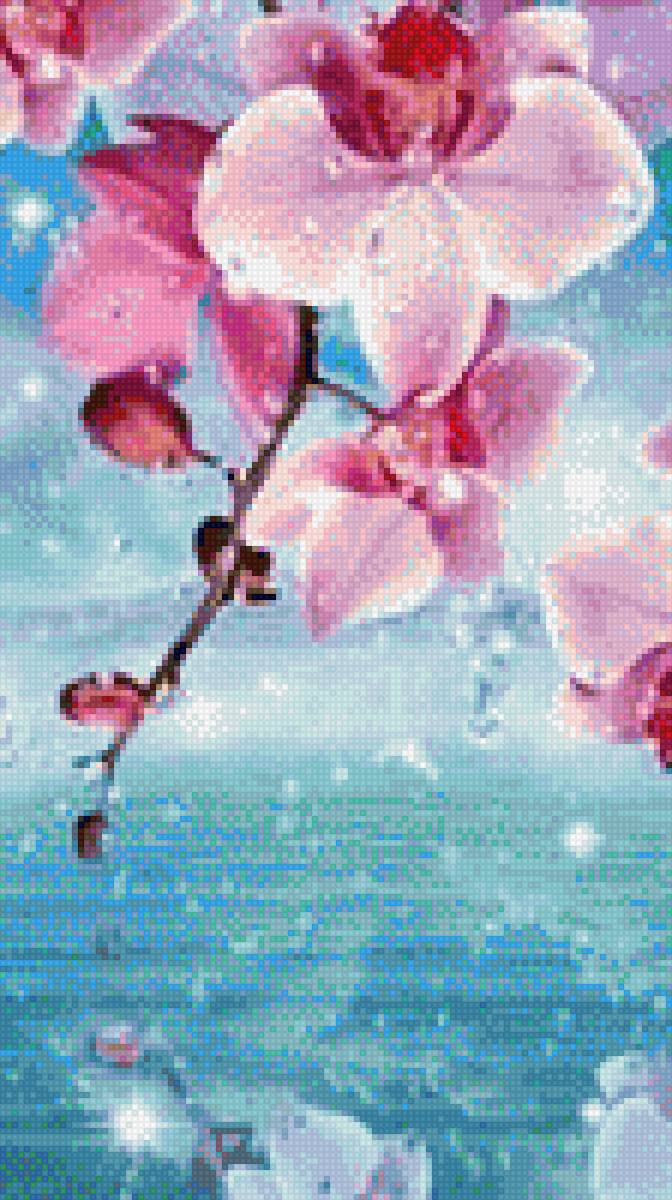 Орхидея - растения, картина, орхидея, цветы - предпросмотр