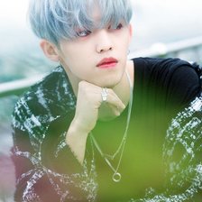 Схема вышивки «Scoups»