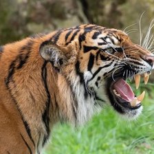 Схема вышивки «№2056698»