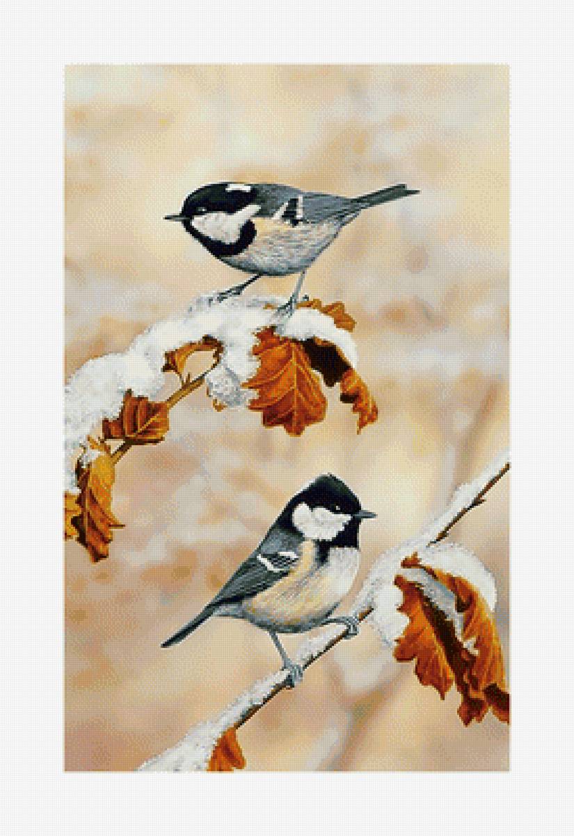 Зимние синицы. - синицы, зима, птицы - предпросмотр