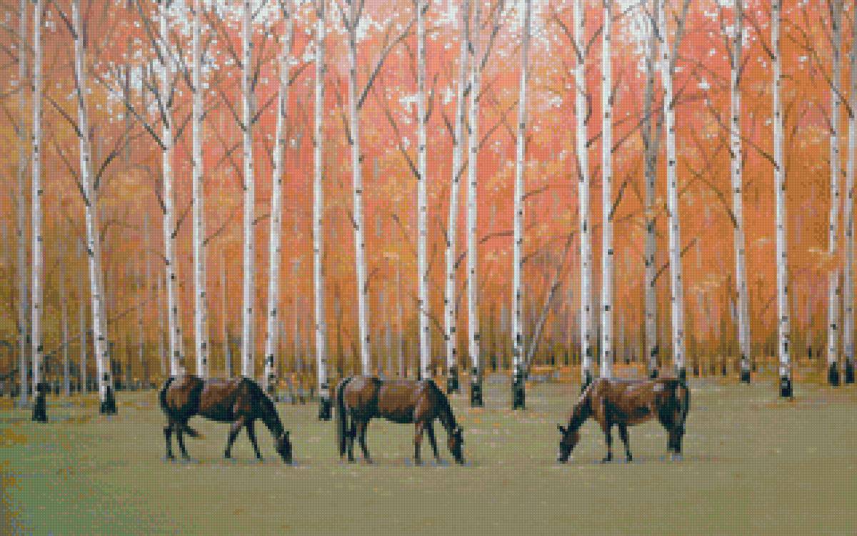 Средь берёз - лес, пейзаж, березы, лошади - предпросмотр