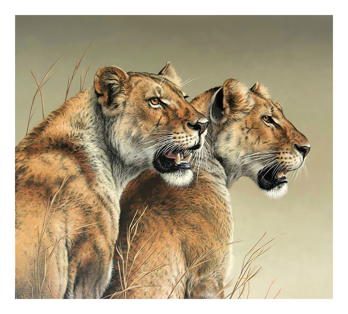 Львицы. - хищники, львы, живопись, животные - оригинал