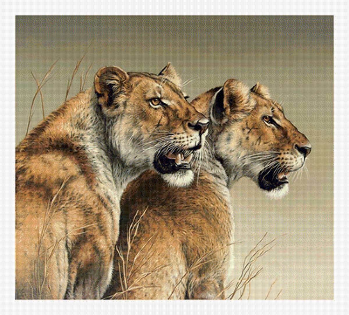 Львицы. - живопись, львы, животные, хищники - предпросмотр