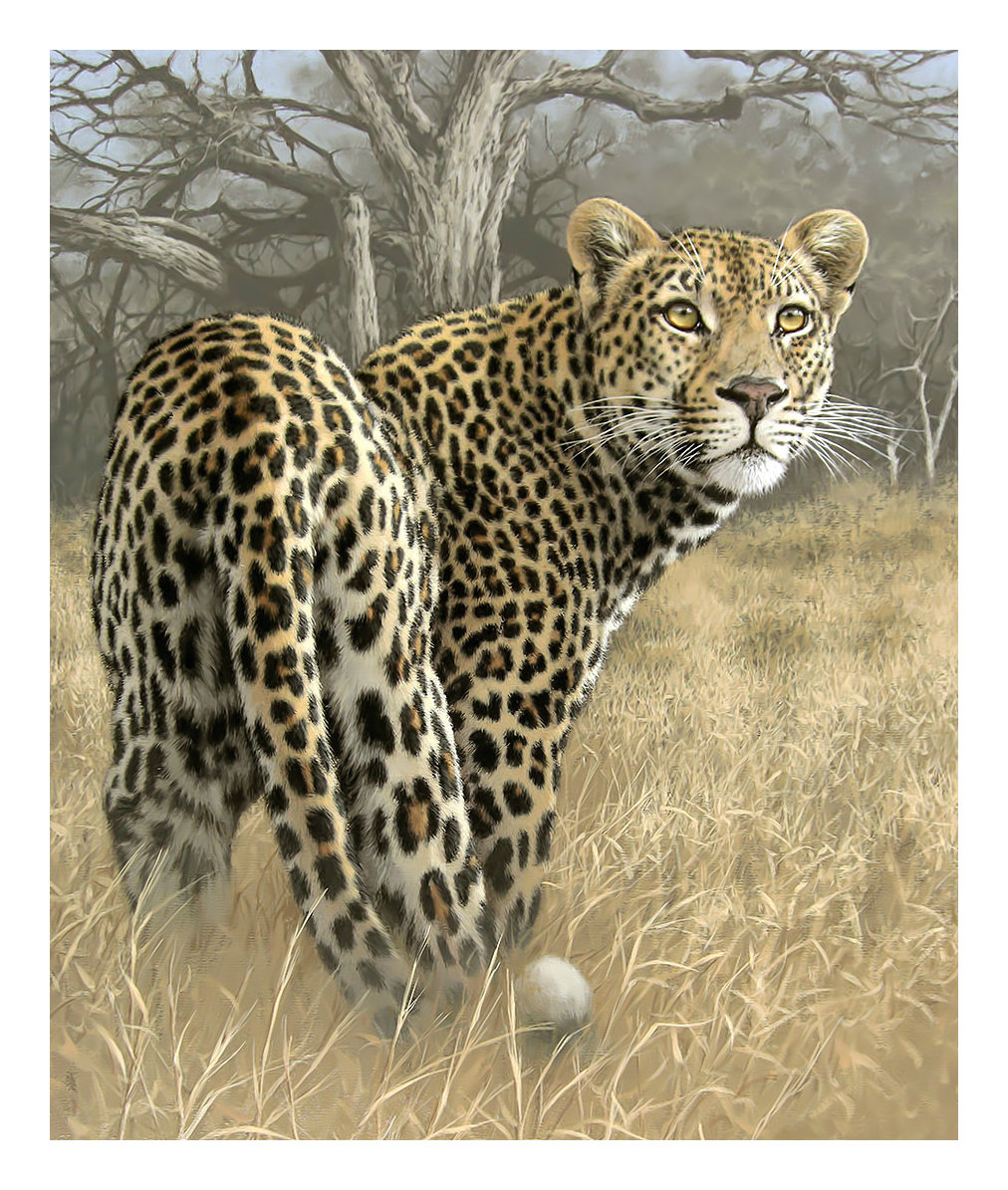 Леопард. - взгляд, леопард, животные, хищник, живопись - оригинал