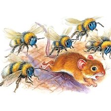 Схема вышивки «мышка и пчёлы»