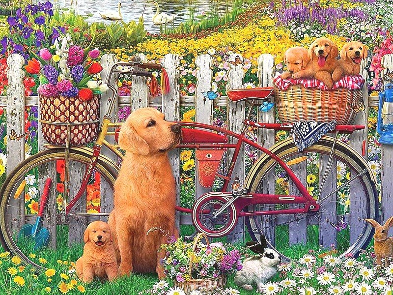 на отдыхе - кролик, велосипед, собаки, лебеди - оригинал