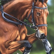 Схема вышивки «конь»