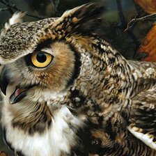 Схема вышивки «птицы»