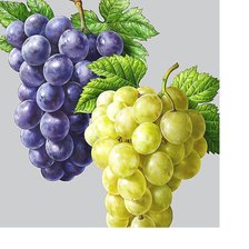 Схема вышивки «№2057522»