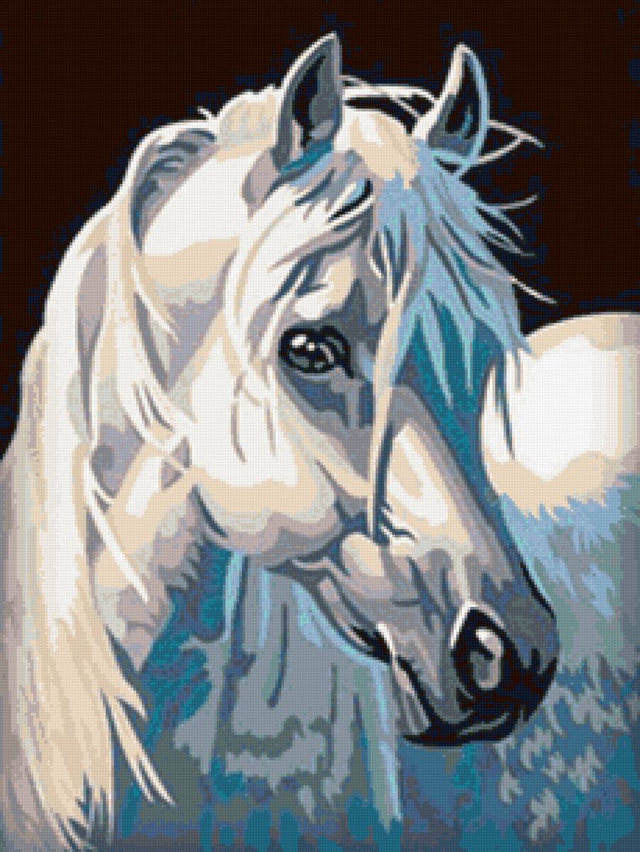 Рисунок - портрет, лошадь, конь - предпросмотр