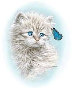 Котенок и бабочка - котенок, бабочки, домашние любимцы - оригинал