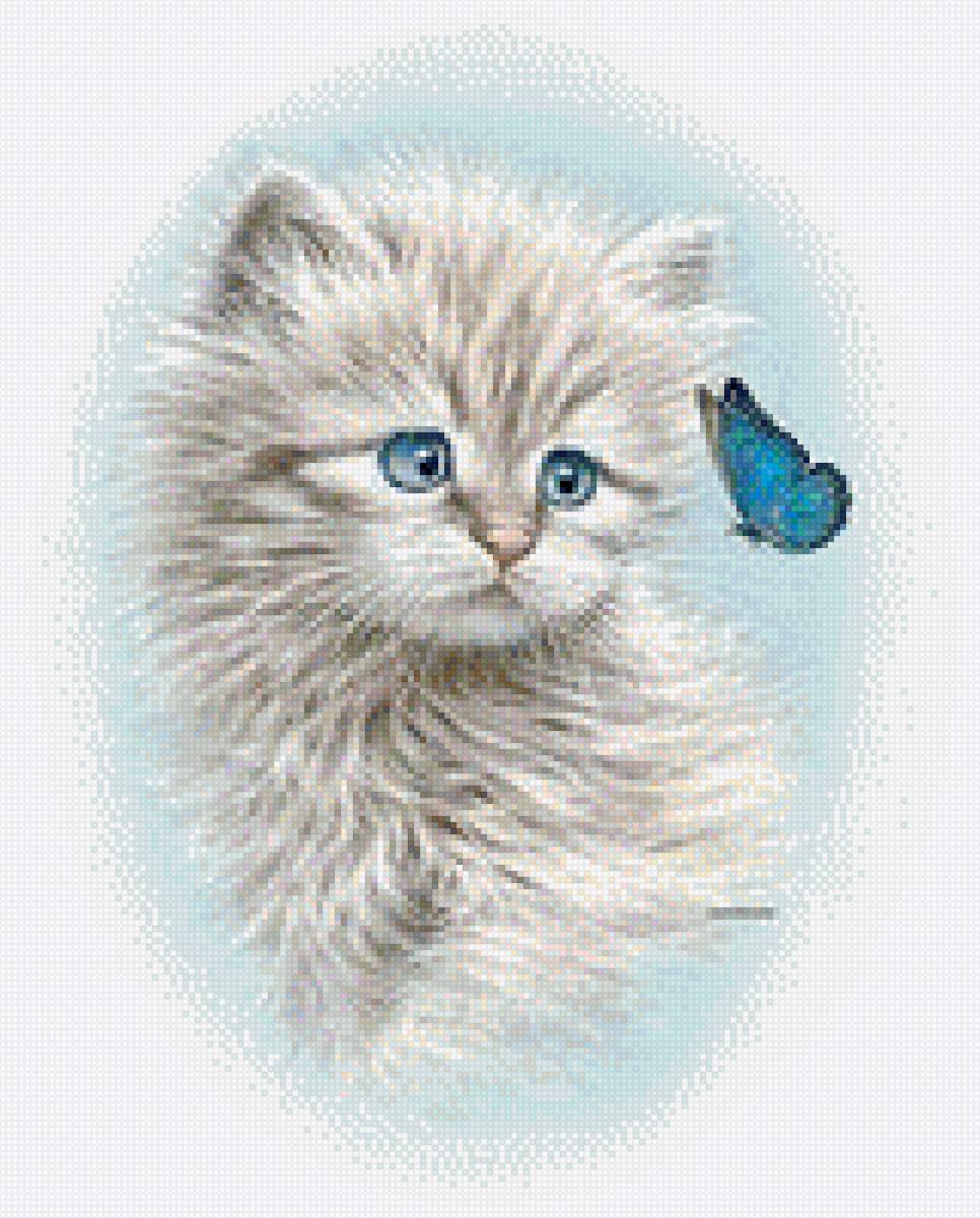 Котенок и бабочка - котенок, бабочки, домашние любимцы - предпросмотр